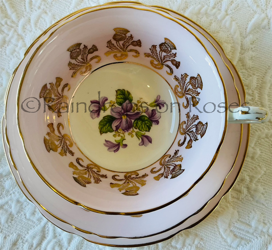 Paragon Pink Trios with Purple Violets