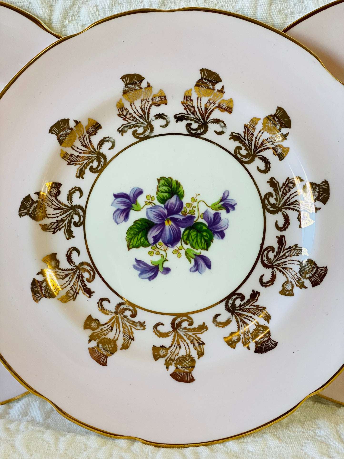 Paragon Pink Trios with Purple Violets