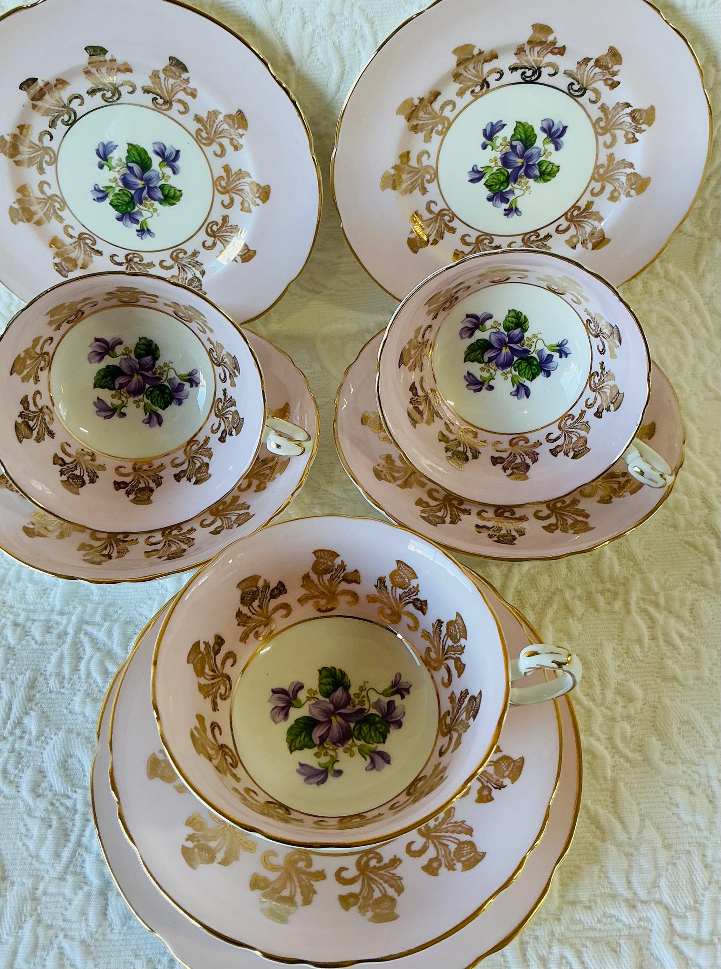 Paragon Pink Trios with Purple Violets